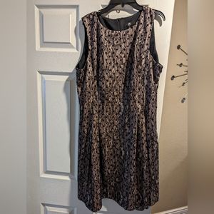 Sleeveless fit and flare lace dress XL NWT